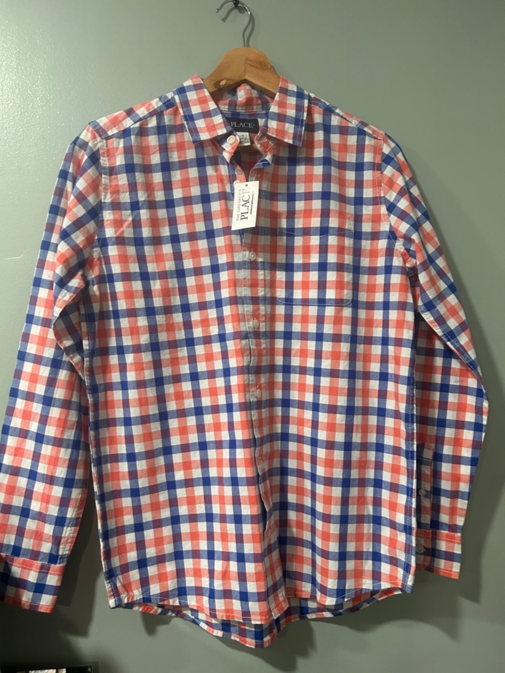 The Children's Place Red, Blue & White Plaid Button-Down Shirt